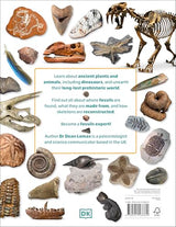 My Book of Fossils