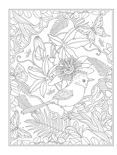 Creative Haven Tropical Wonders Coloring Book