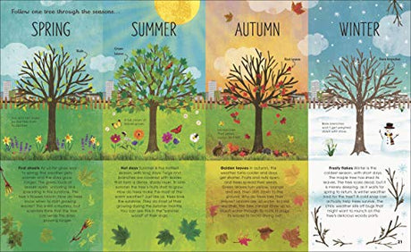 RHS The Magic and Mystery of Trees - Retail Maharaj