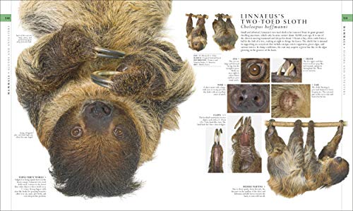 The Natural History Book: The Ultimate Visual Guide to Everything on Earth (DK Definitive Visual Encyclopedias)