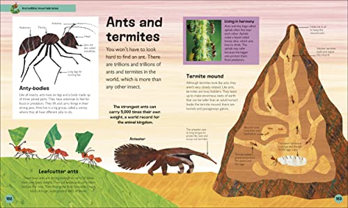 The Very Hungry Caterpillar's Very First Animal Encyclopedia: An Introduction to Animals, For VERY Hungry Young Minds (The Very Hungry Caterpillar Encyclopedias)
