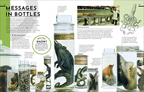 Behind the Scenes at the Museum: Your Access-All-Areas Guide to the World's Most Amazing Museums