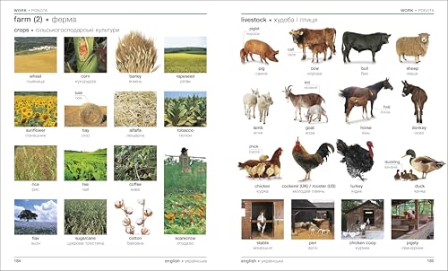 Ukrainian English Bilingual Visual Dictionary (DK Bilingual Visual Dictionaries)