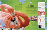 Born to be Wild: How Baby Animals Survive and Thrive
