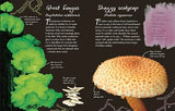 An Anthology of Fungi: A Collection of 100 Mushrooms, Toadstools and Other Fungi