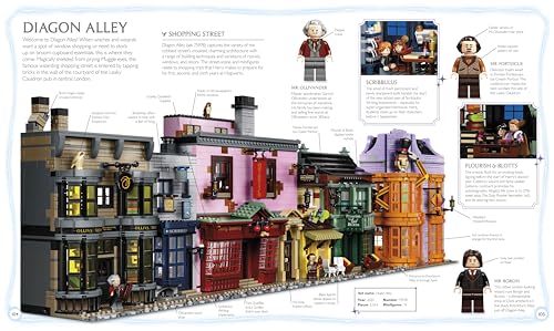 LEGO Harry Potter Visual Dictionary: With Exclusive Minifigure