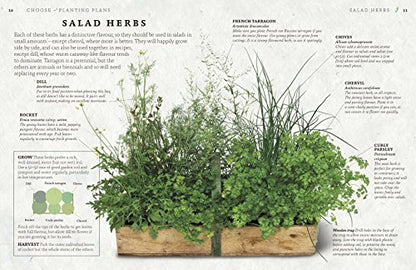 The Herb Garden for Cooks