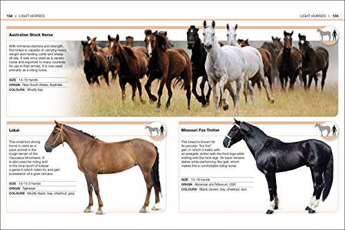 HORSES