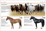 HORSES