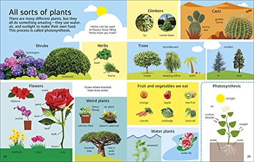 1000 Words: Nature: Build Nature Vocabulary and Literacy Skills