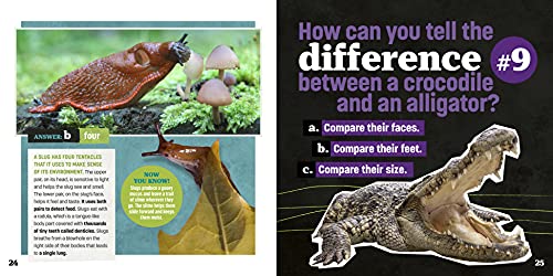 Totally Random Questions Volume 1: 101 Wild and Weird Q&As