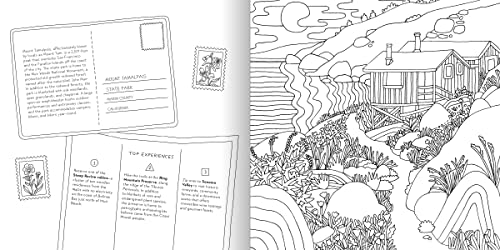 Road Trip! Coloring Book: Color Your Way to National Parks, Landmarks, and Roadside Attractions: A Coloring Book - Retail Maharaj