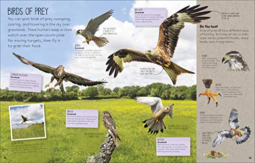 Nature Spotter