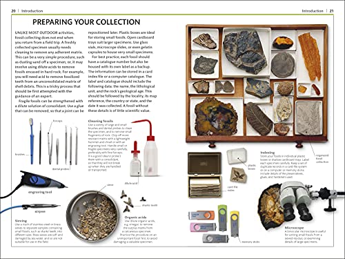Fossils (DK Handbooks)