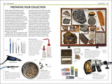 Fossils (DK Handbooks)