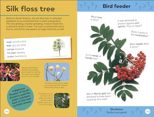 Quiz Yourself Clever! Trees of the World