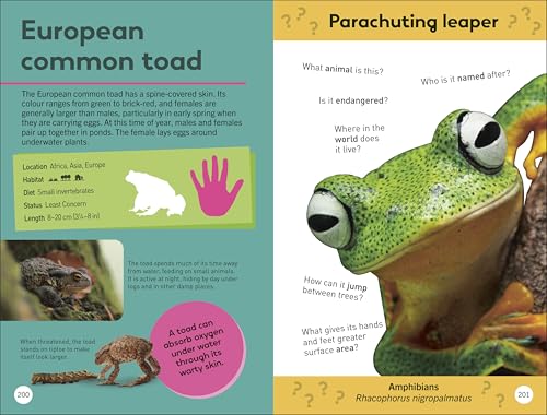 Quiz Yourself Clever! Animals of the World (DK Quiz Yourself Clever)