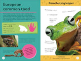 Quiz Yourself Clever! Animals of the World (DK Quiz Yourself Clever)