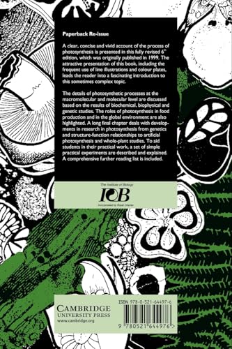 Photosynthesis (Studies in Biology)