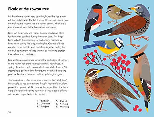 What to Look For in Every Season: A Ladybird Book Boxset