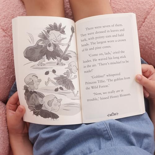 The Daredevil Princess and the Goblin King (Book 2) - Retail Maharaj