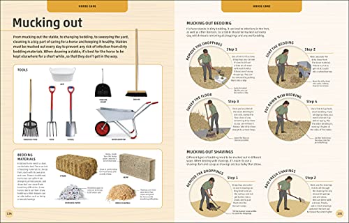 Horses & Ponies: Everything You Need to Know, From Bridles and Breeds to Jodhpurs and Jumping! - Retail Maharaj