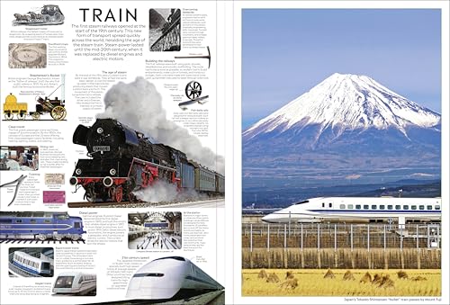 Eyewitness Encyclopedia Poster Book: More Than 30 Reversible Tear-Out Posters (DK Eyewitness)