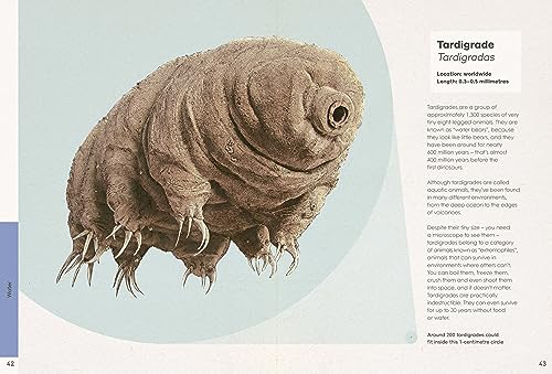 Ben Rothery's Weird and Wonderful Animals