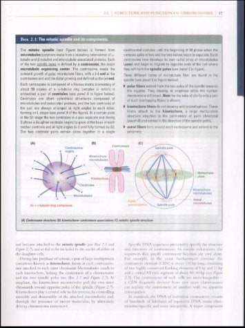 Human Molecular Genetics