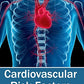 Cardiovascular Risk Factors