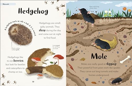 Bedtime Books: A Lovable Introduction to Animals and Dinosaurs