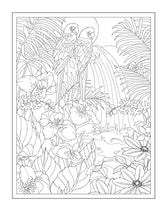 Creative Haven Tropical Wonders Coloring Book