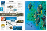 Eyewitness Encyclopedia Poster Book: More Than 30 Reversible Tear-Out Posters (DK Eyewitness)