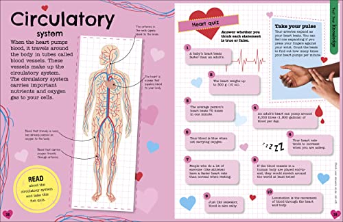The Fact-Packed Activity Book: Human Body