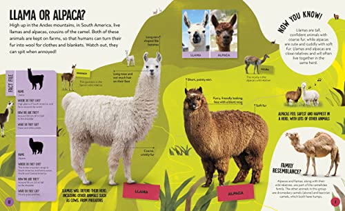 What's the Difference? Animals: Spot the difference in the animal kingdom!