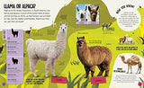 What's the Difference? Animals: Spot the difference in the animal kingdom!