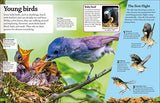 DKfindout! Birds