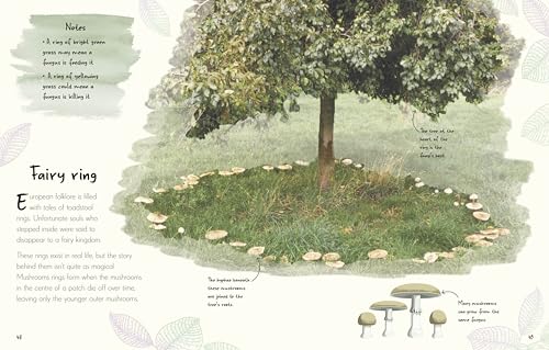 An Anthology of Fungi: A Collection of 100 Mushrooms, Toadstools and Other Fungi