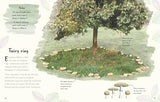 An Anthology of Fungi: A Collection of 100 Mushrooms, Toadstools and Other Fungi