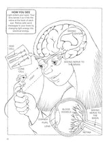 My First Book about Physics