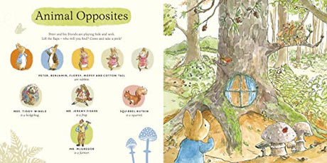 What Can You See Peter?: Very Big Lift the Flap Book (Peter Rabbit Baby Books) - Retail Maharaj