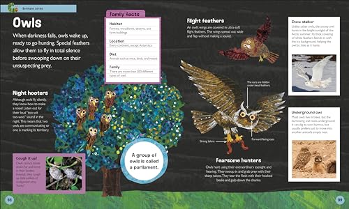 The Very Hungry Caterpillar's Very First Animal Encyclopedia: An Introduction to Animals, For VERY Hungry Young Minds