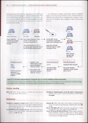 Human Molecular Genetics