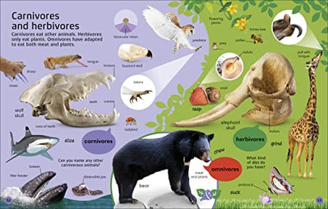 1000 Animal Words: Build Animal Vocabulary and Literacy Skills - Retail Maharaj