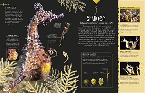 Born to be Wild: How Baby Animals Survive and Thrive