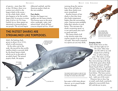 Sharks: Riveting Reads for Curious Kids (Mega Bites)