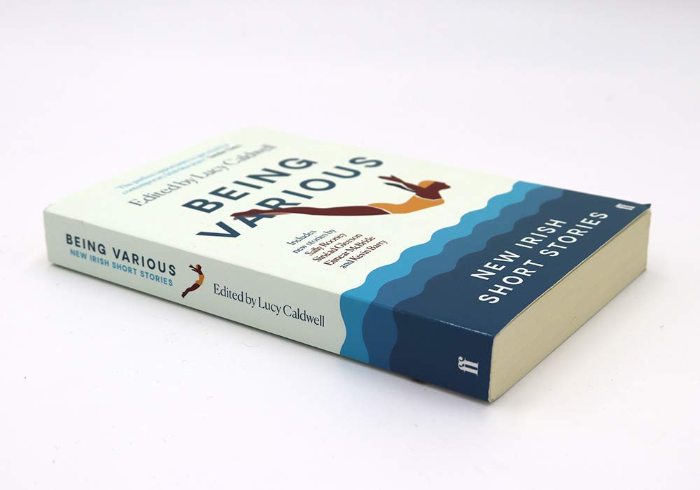 Being Various: New Irish Short Stories