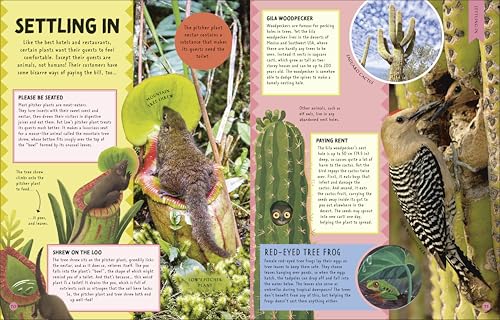 Animal Partnerships: Radical Relationships, Unlikely Alliances, and Other Animal Teams