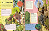 Animal Partnerships: Radical Relationships, Unlikely Alliances, and Other Animal Teams