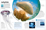 Eyewonder Oceans: Open Your Eyes to a World of Discovery